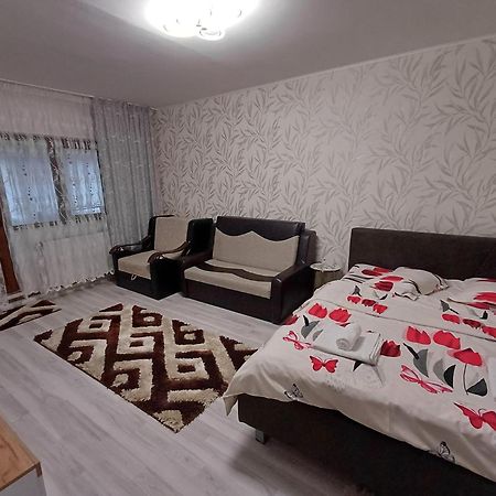 Garsoniera George Apartment Tirgu Ocna Luaran gambar