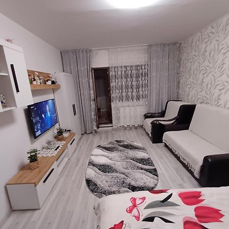 Garsoniera George Apartment Tirgu Ocna Luaran gambar