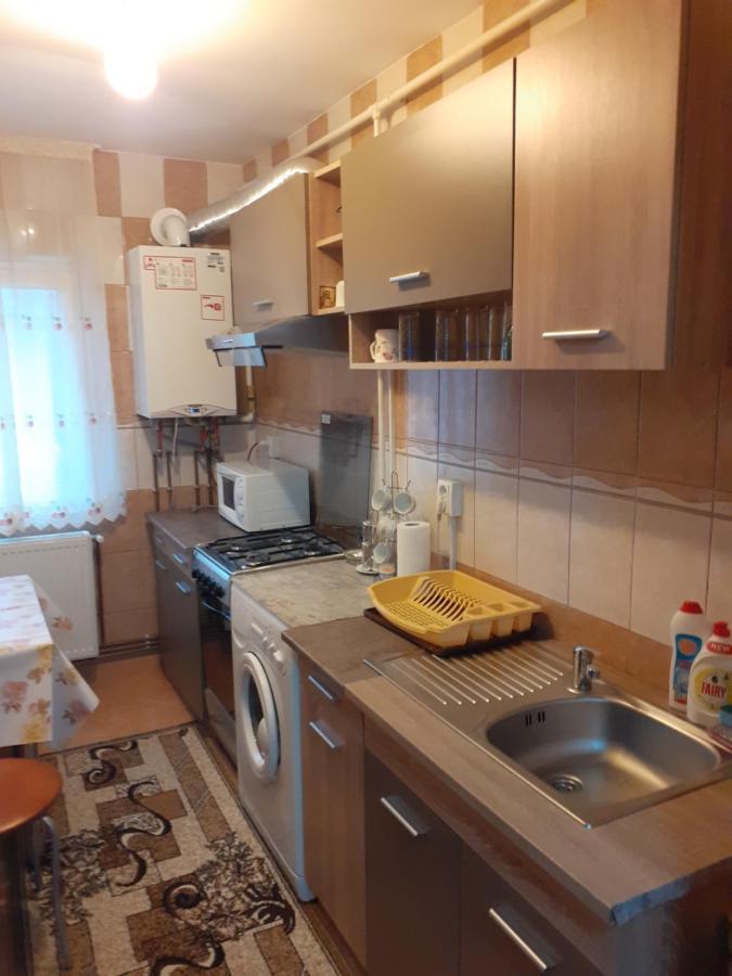 Garsoniera George Apartment Tirgu Ocna Luaran gambar