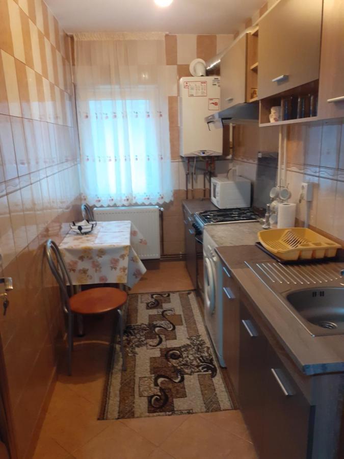 Garsoniera George Apartment Tirgu Ocna Luaran gambar